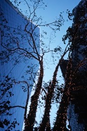Architecture;Blue;Buildings;Christmas-Decoration;Cities;City;Colour;Color;Kaleidos;Kaleïdos;New-York-City;NYC;Tarek-Charara;Towns;United-States-of-America;USA;Manhattan;Gordon-Bunshaft;Skidmore,-Owings-Merrill;Skyscrapers;La-parole-à-limage